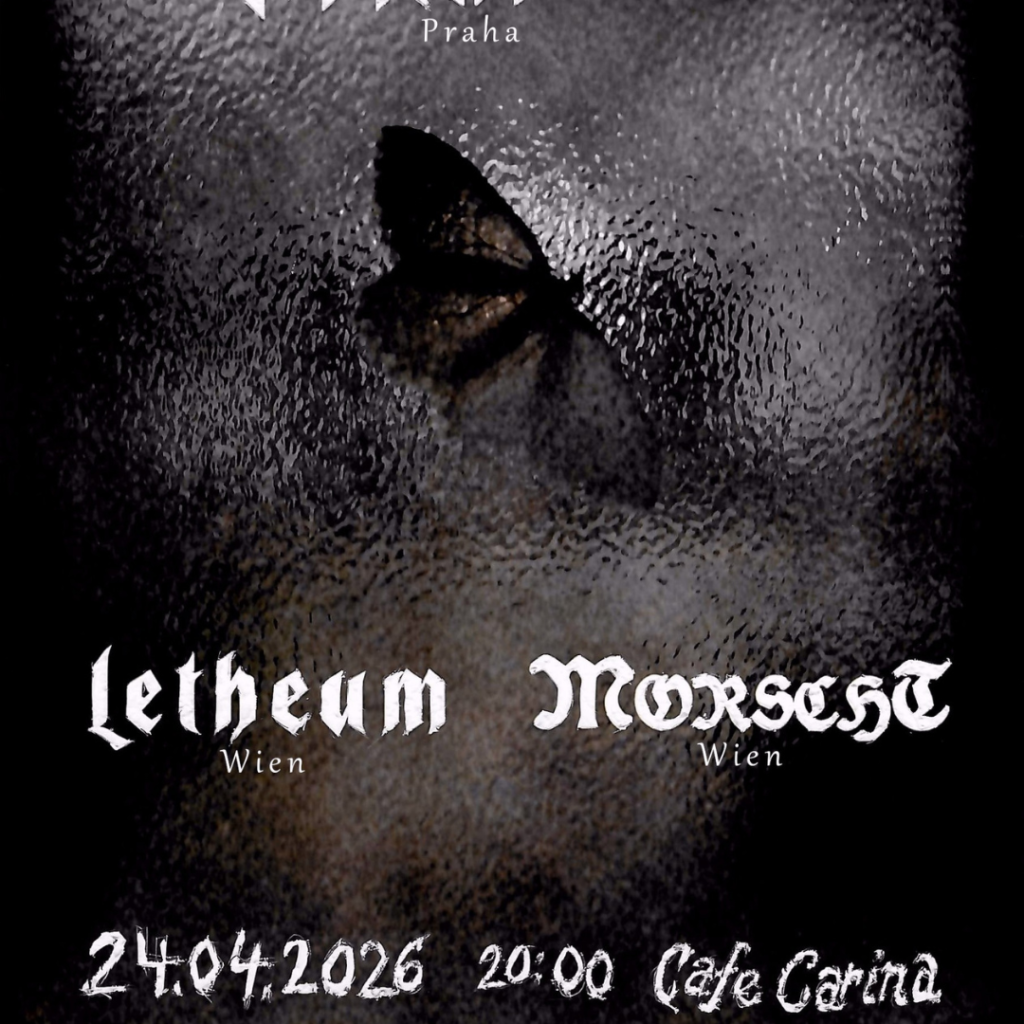 – Nuummite – Letheum – Morscht – Nuummite – Letheum – Morscht